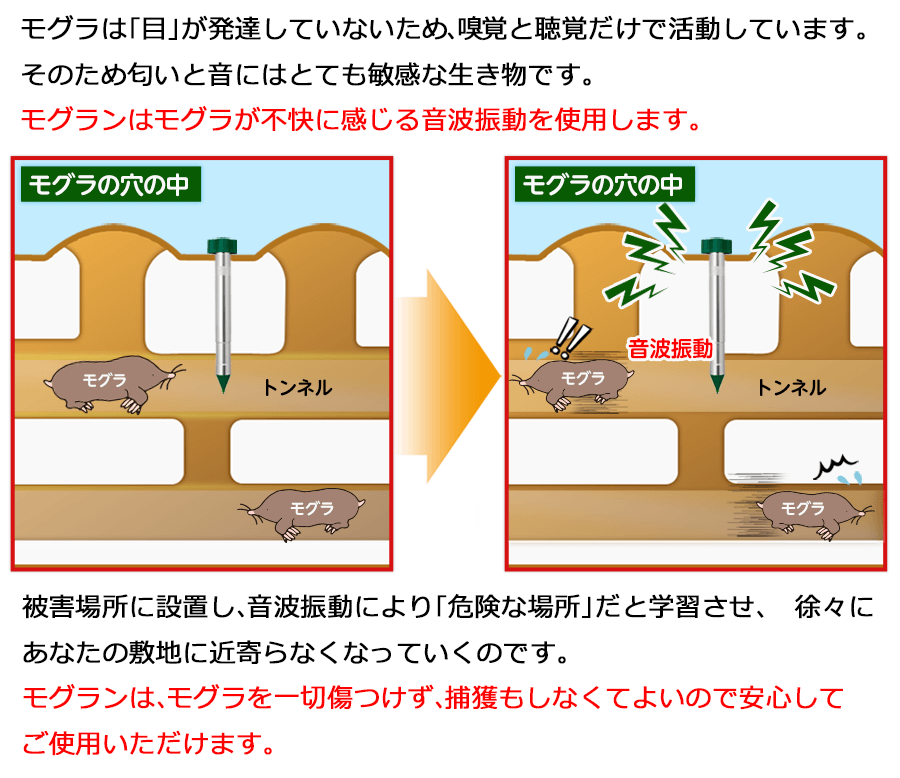 モグランとは