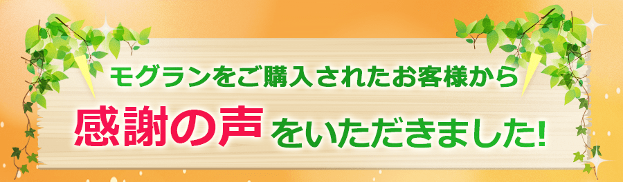 お客様の声タイトル