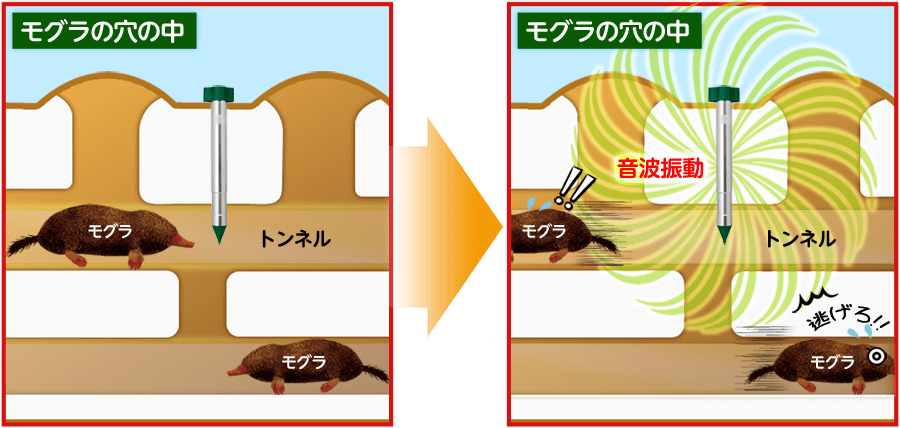 ベスト 花モグラ 花もぐら ベスト 花モグラ 花もぐら