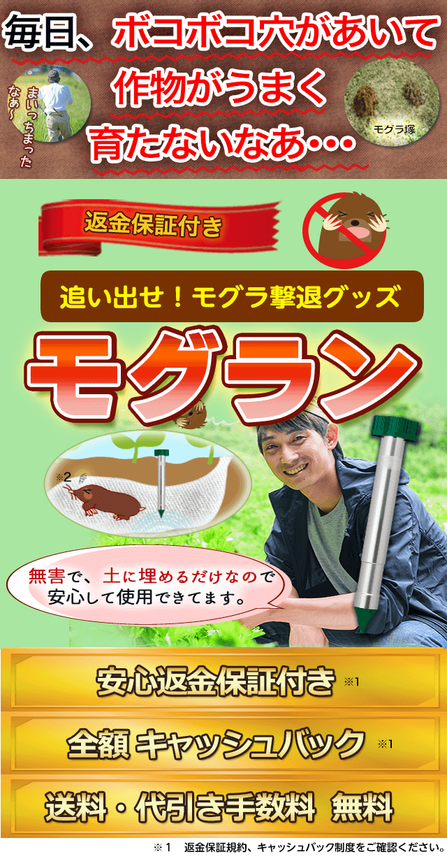 モグラを退治する方法