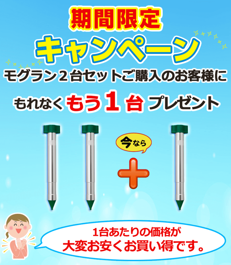 キャンペーン